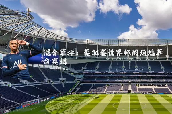 混合草坪：美加墨世界杯的场地革命真相